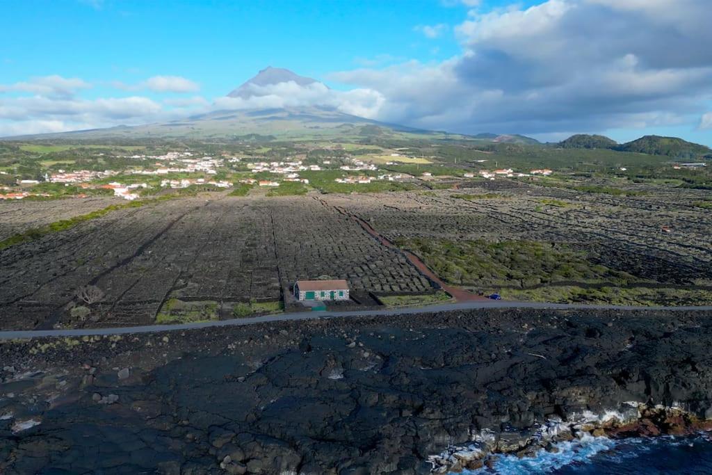 Pico Island Villas Madalena  Exteriör bild