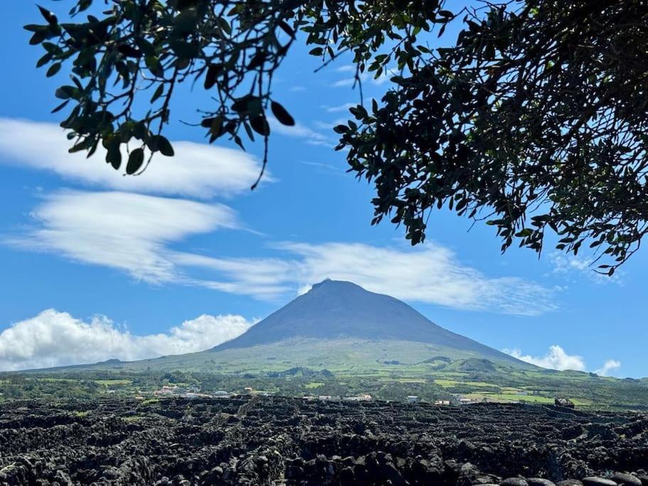 Pico Island Villas Madalena  Exteriör bild